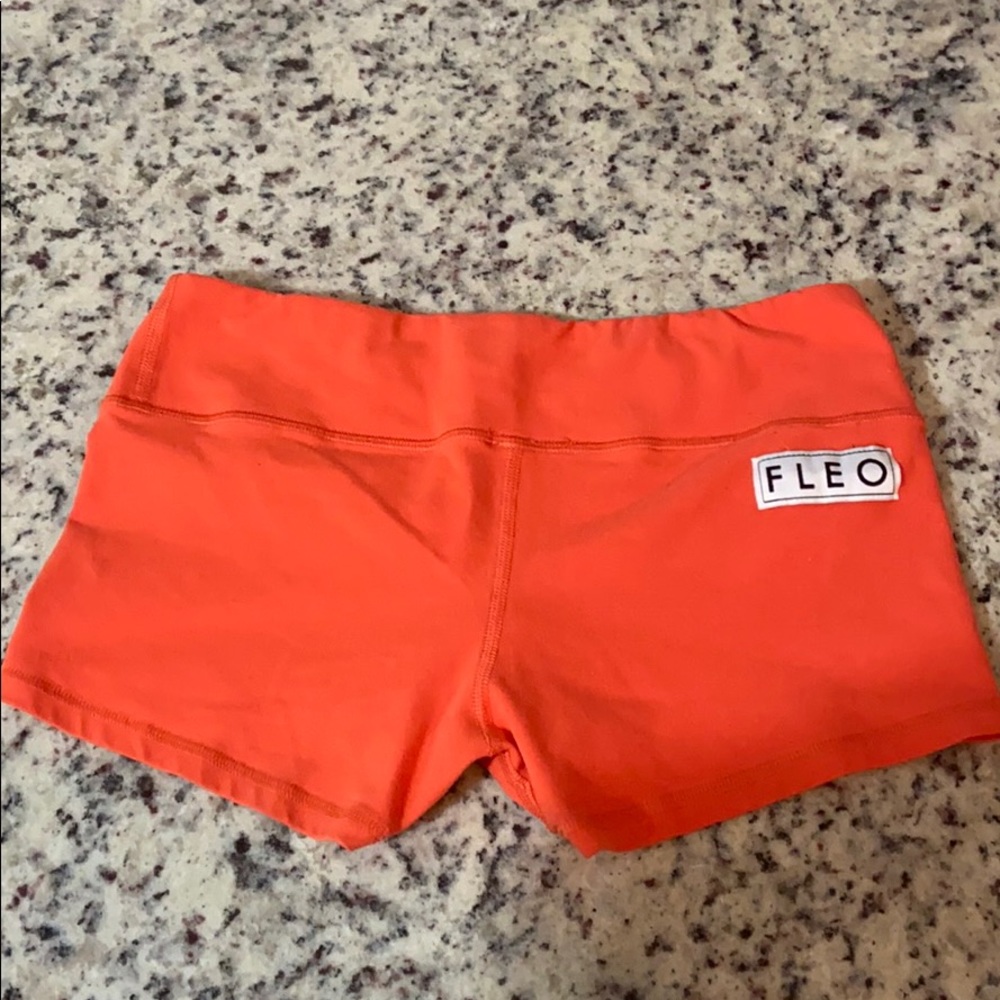 Fleo 2.5